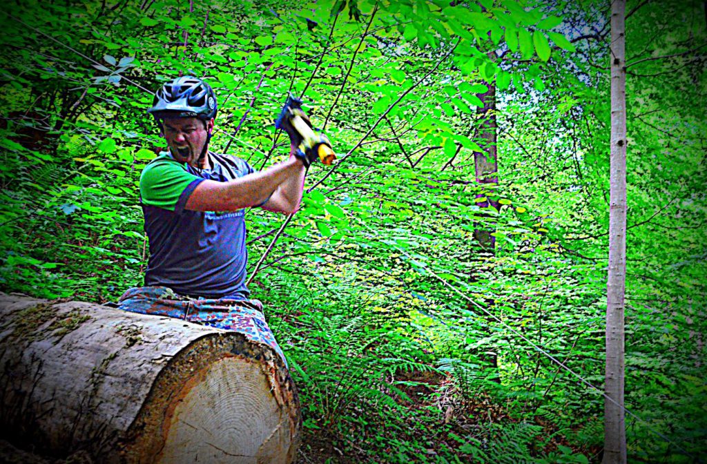 Motorsäge im Einsatz beim Shape Day