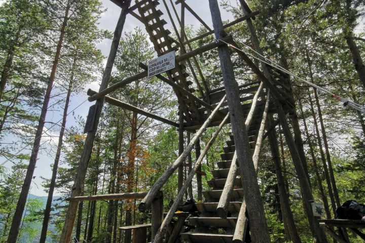 Radlager Trail:Jam:nica