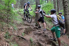 Fahrtechniktraining Level 4 und Praxisanwendung – Villach