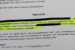Bescheid für Rodungsbewilligung ist positiv